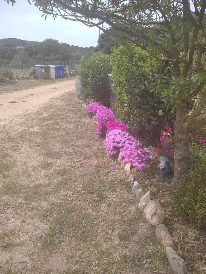 B&B Li Salcuneddi アリエントゥ エクステリア 写真